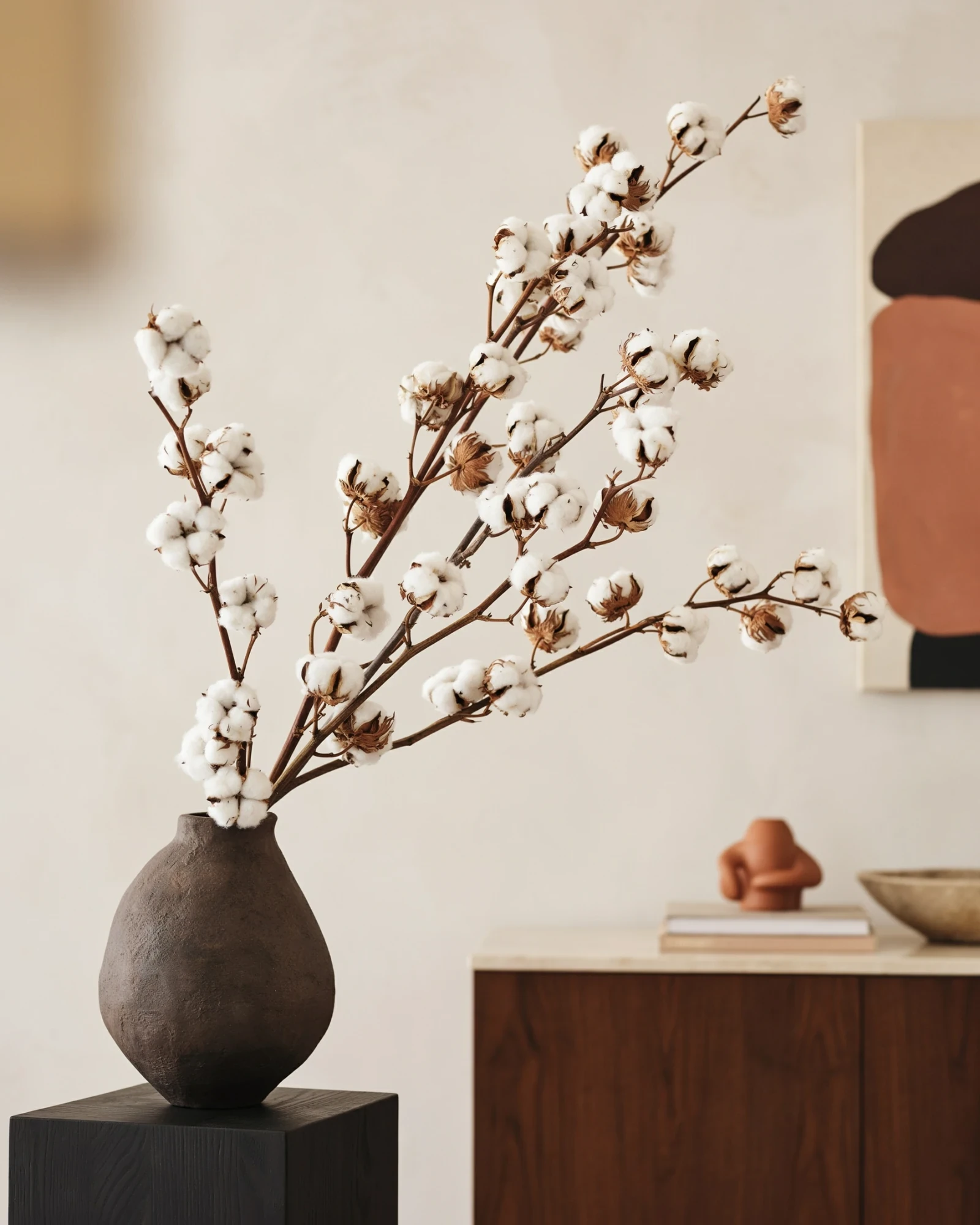 Vaso con steli di cotone ornamentale in un ambiente domestico