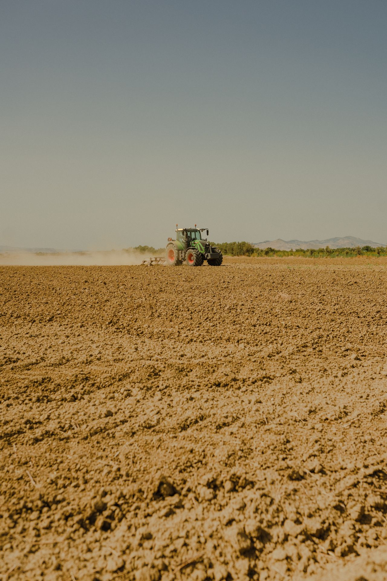 Lavorazione del terreno prima della semina del cotone